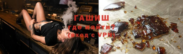 гидра Богородск
