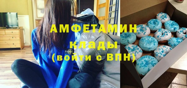 гидра Богородск