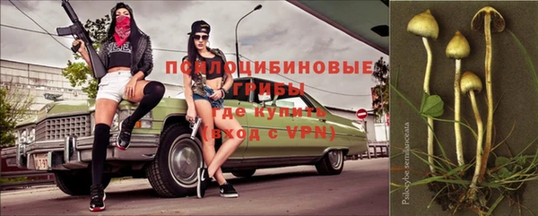 гидра Богородск