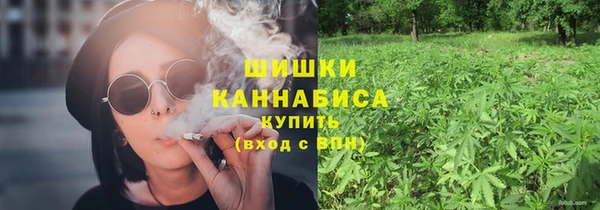 гидра Богородск