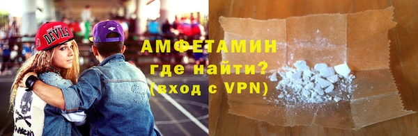 гидра Богородск