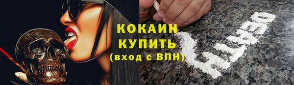 гидра Богородск