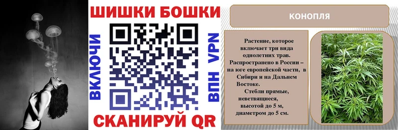 Шишки марихуана OG Kush Сланцы